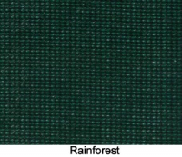 RainforestDRIZ