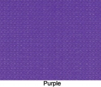 PurpleZ16Web-300x240