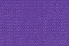 PurpleZ16Web-300x240