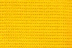 YellowZ16Web-300x240